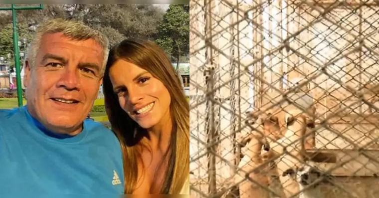 Padre de Alejandra Baigorria es acusado de abandonar albergue de perros en Chaclacayo: "Esto no es vida"