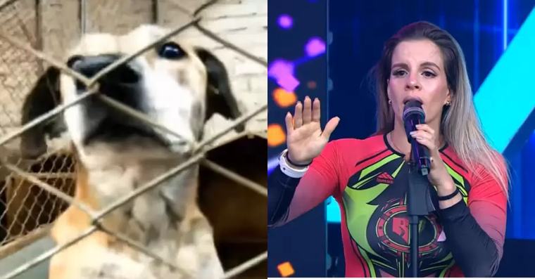 Alejandra Baigorria explota ante reclamos por apoyo para albergue en Chaclacayo: "Te estás equivocando"
