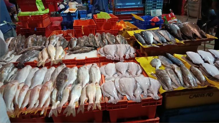 VMT: comerciantes del terminal pesquero reportan escasez de algunas especies de pescado por el Fenómeno El Niño