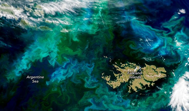 El océano Atlántico cambia de color cerca de las Malvinas: la NASA explica el fenómeno detrás de los enormes remolinos turquesa
