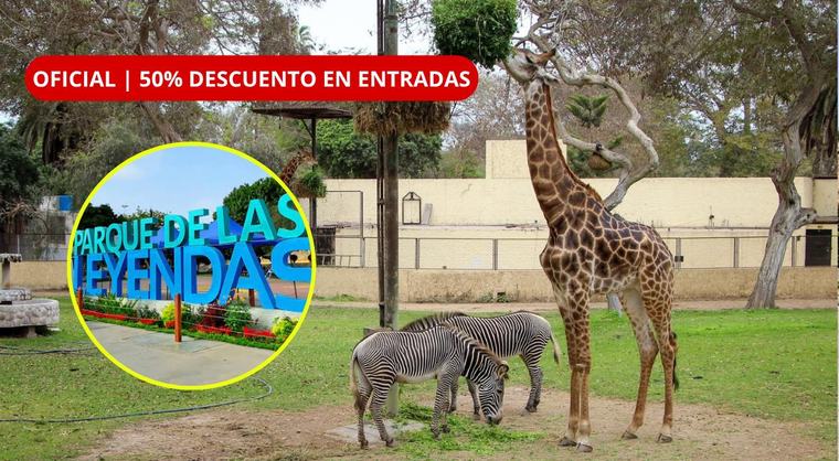 ¡PARQUE DE LAS LEYENDAS AL 50%! Así puedes acceder al DESCUENTO en entradas durante los fines de semana de SETIEMBRE