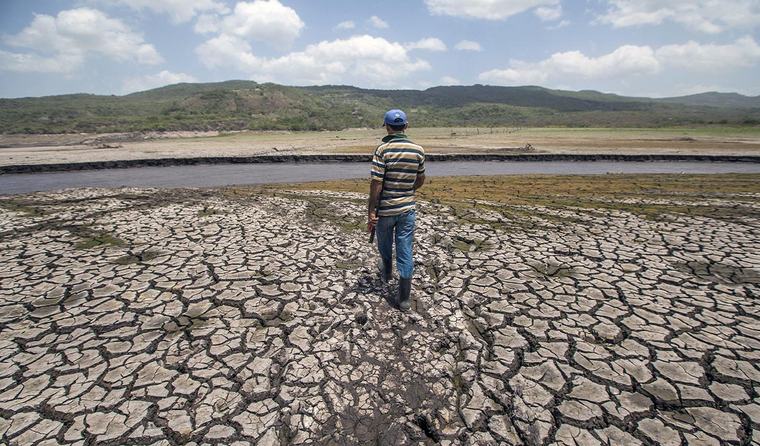 El fenómeno El Niño podría provocar inseguridad alimentaria para 16 millones de personas en América Latina, advierte el PMA