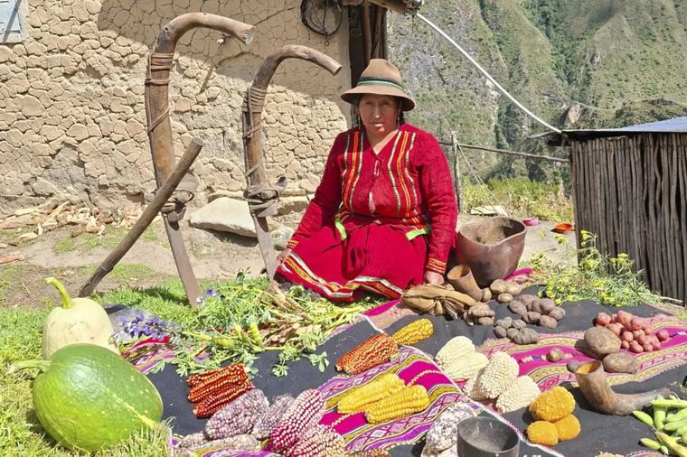 FAO reconoce a peruana Rita Parcco como 'mujer heroína en sistemas agroalimentarios'