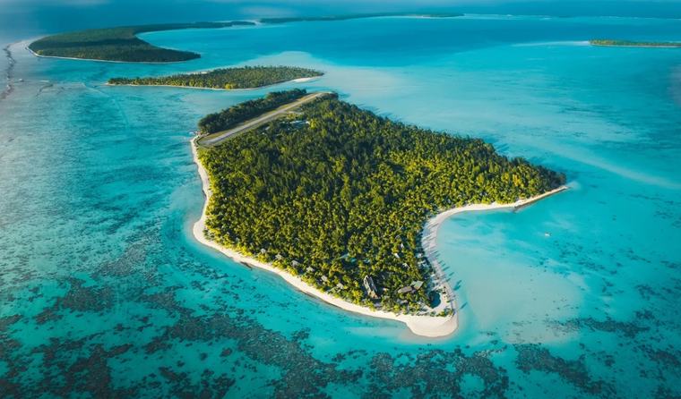En 1966, Marlon Brando compró una isla en la Polinesia tras filmar una película: hoy es santuario con 15.614 tortugas verdes