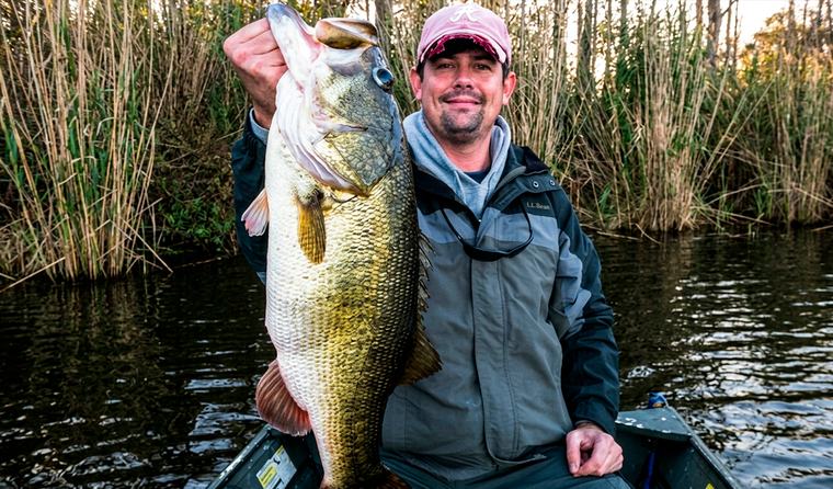Un hombre construyó un lago para criar peces, pero la fauna silvestre se apoderó del lugar: así cambió todo en solo 1.000 días