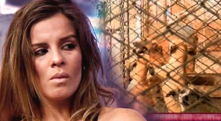 Alejandra Baigorria IGNORA PEDIDO de AYUDA para albergue de mascotas en abandono de Chaclacayo, donde su papá es alcalde