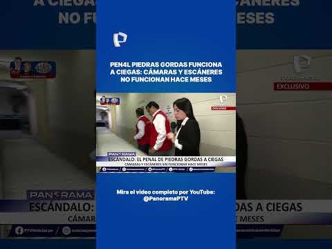 ⚠️ Pen4l Piedras Gordas funciona a ciegas: cámaras y escáneres no funcionan hace meses.