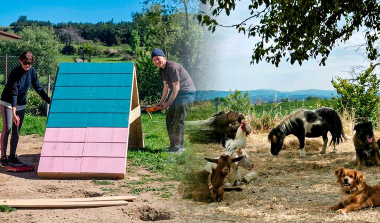 Un santuario emblemático de Portugal busca voluntarios que hablen cualquier idioma para vivir gratis durante una semana a cambio de cuidar perros, gatos y animales de granja
