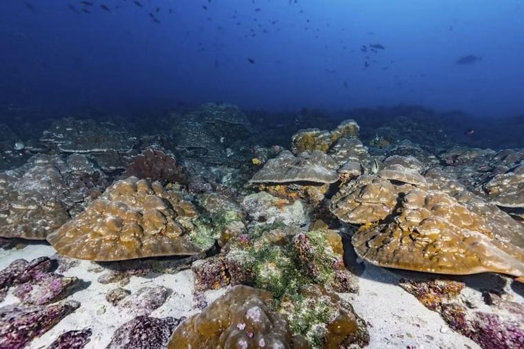 El Niño se ha intensificado un 37% debido al cambio climático